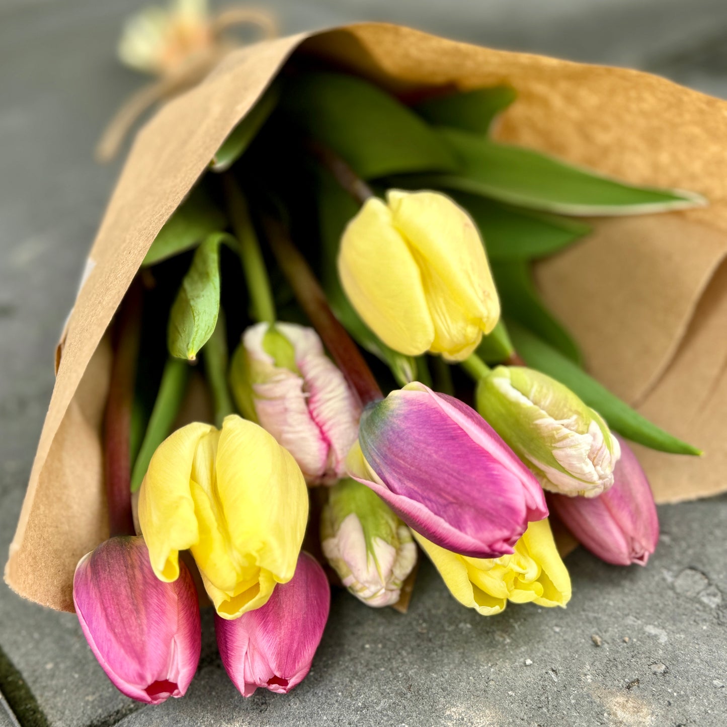 The Signature Specialty Tulips Bouquet