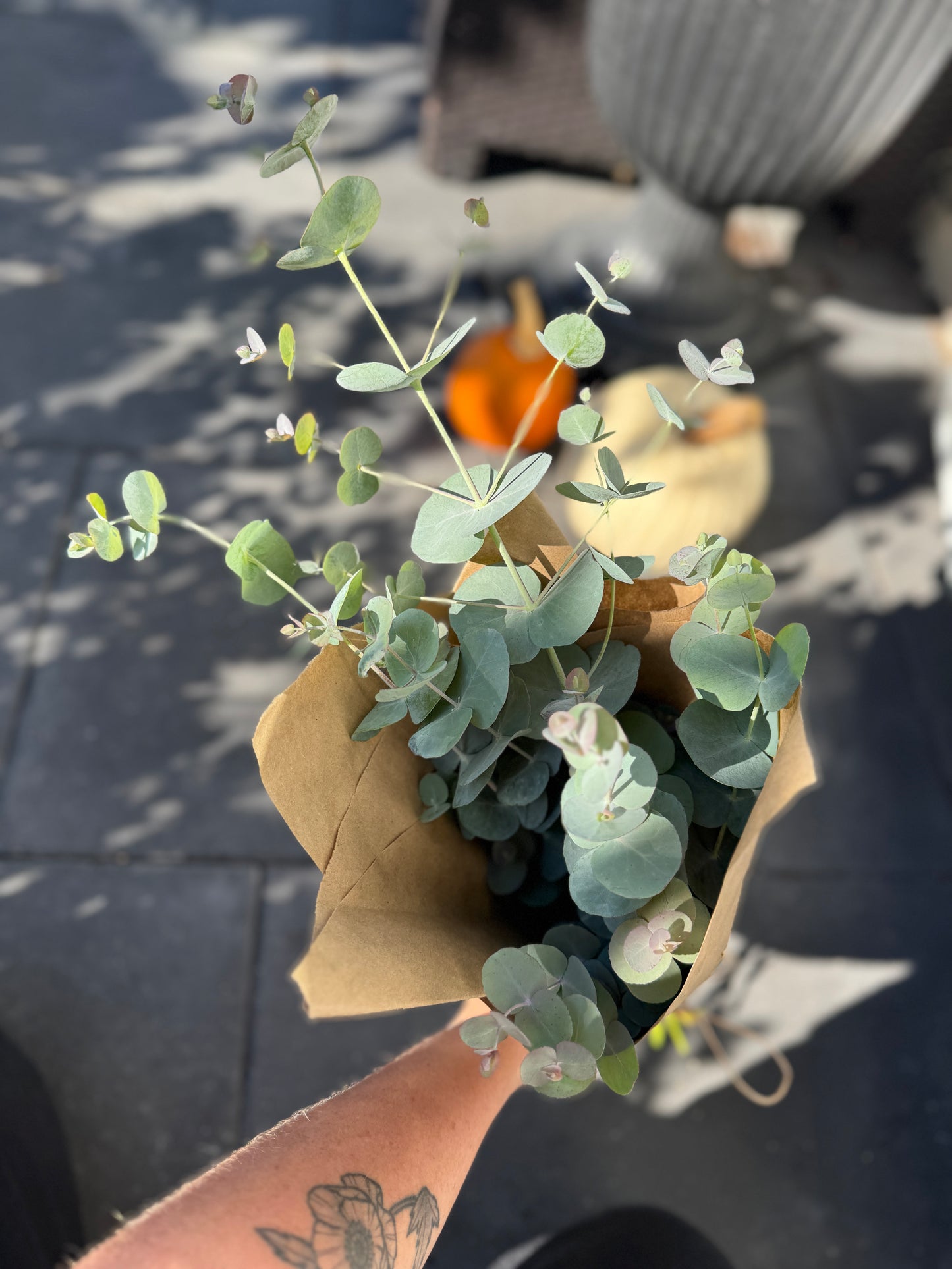The Signature Eucalyptus Bunch