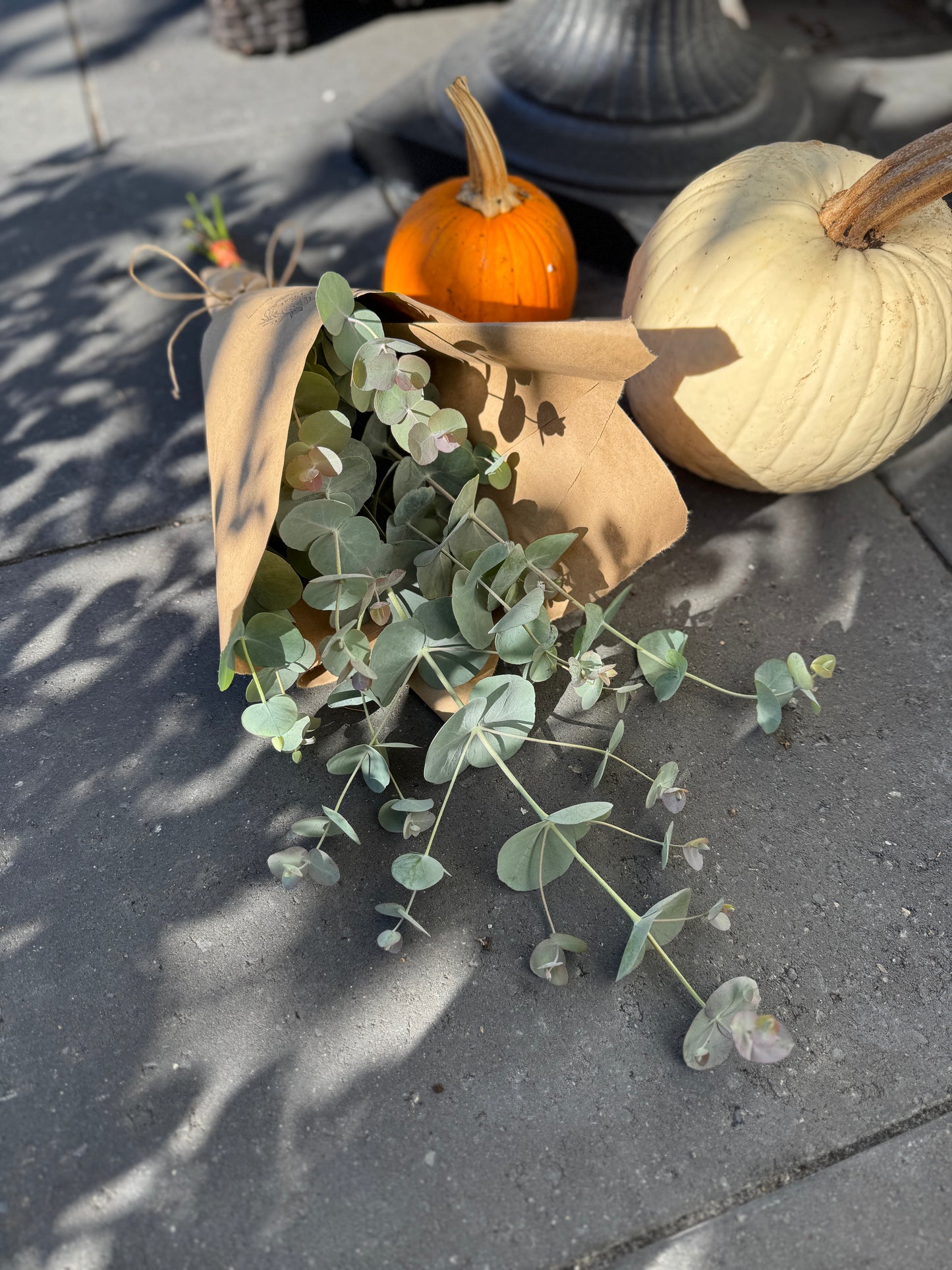 The Signature Eucalyptus Bunch