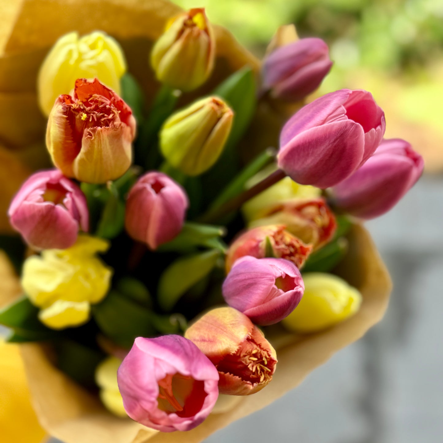 The Luxe Specialty Tulips Bouquet