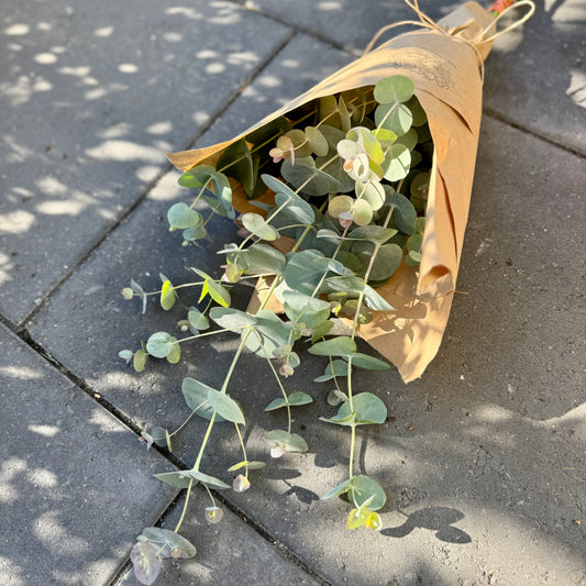 The Signature Eucalyptus Bunch