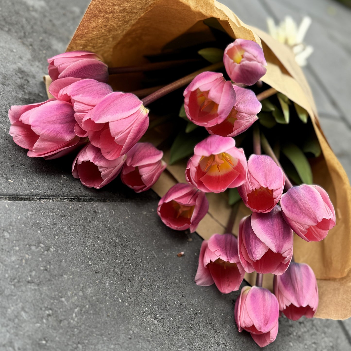 The Luxe Specialty Tulips Bouquet