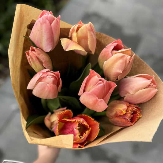 The Signature Specialty Tulips Bouquet