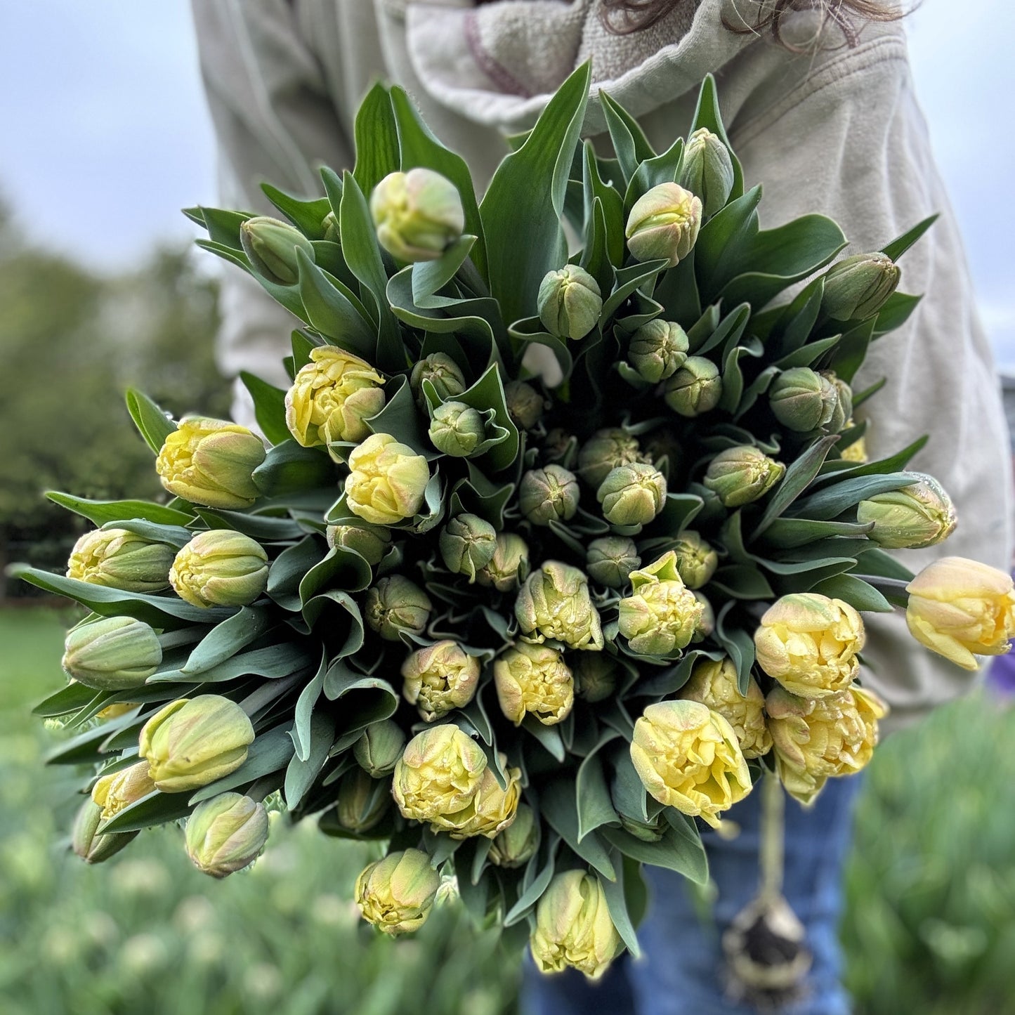 2025 Spring Bouquet Subscription